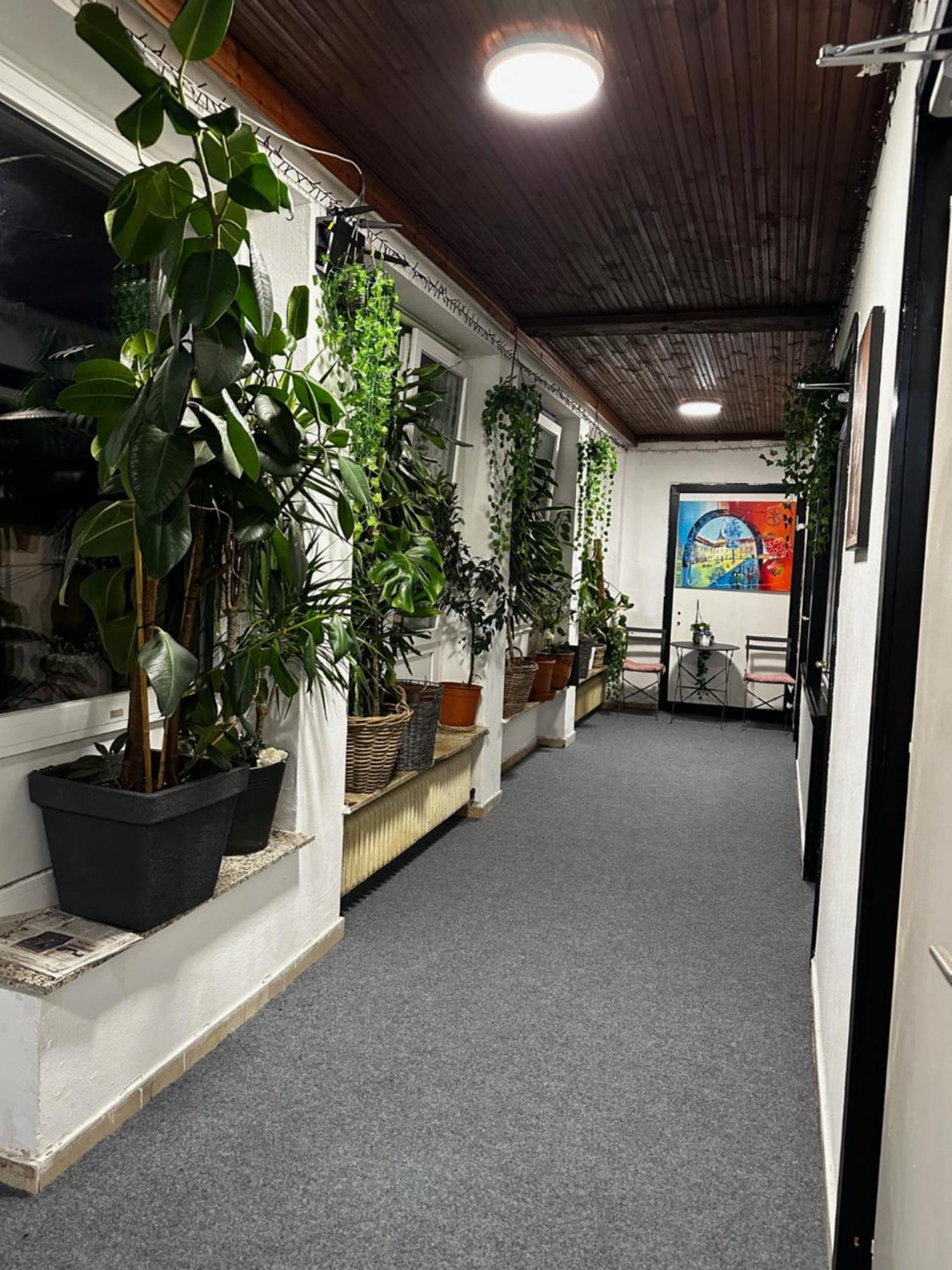 Hostel Lovely Rooms, City Center, Shared Bathroom, Windows To Corridor فيلاخ المظهر الخارجي الصورة