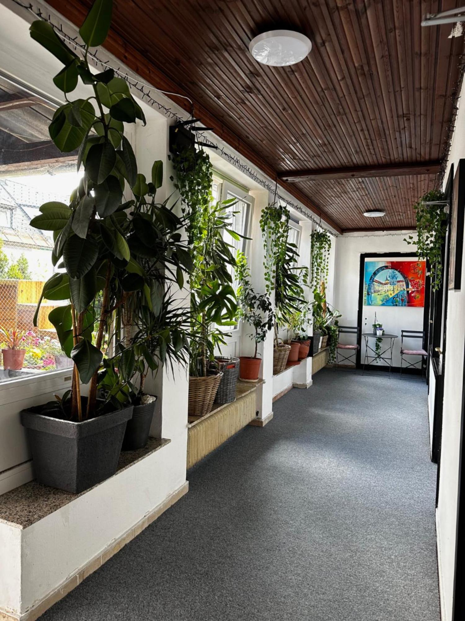 Hostel Lovely Rooms, City Center, Shared Bathroom, Windows To Corridor فيلاخ المظهر الخارجي الصورة